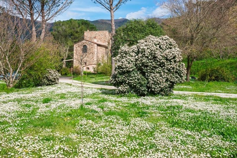 Il Molendino Pisa B&B Calci Exteriör bild